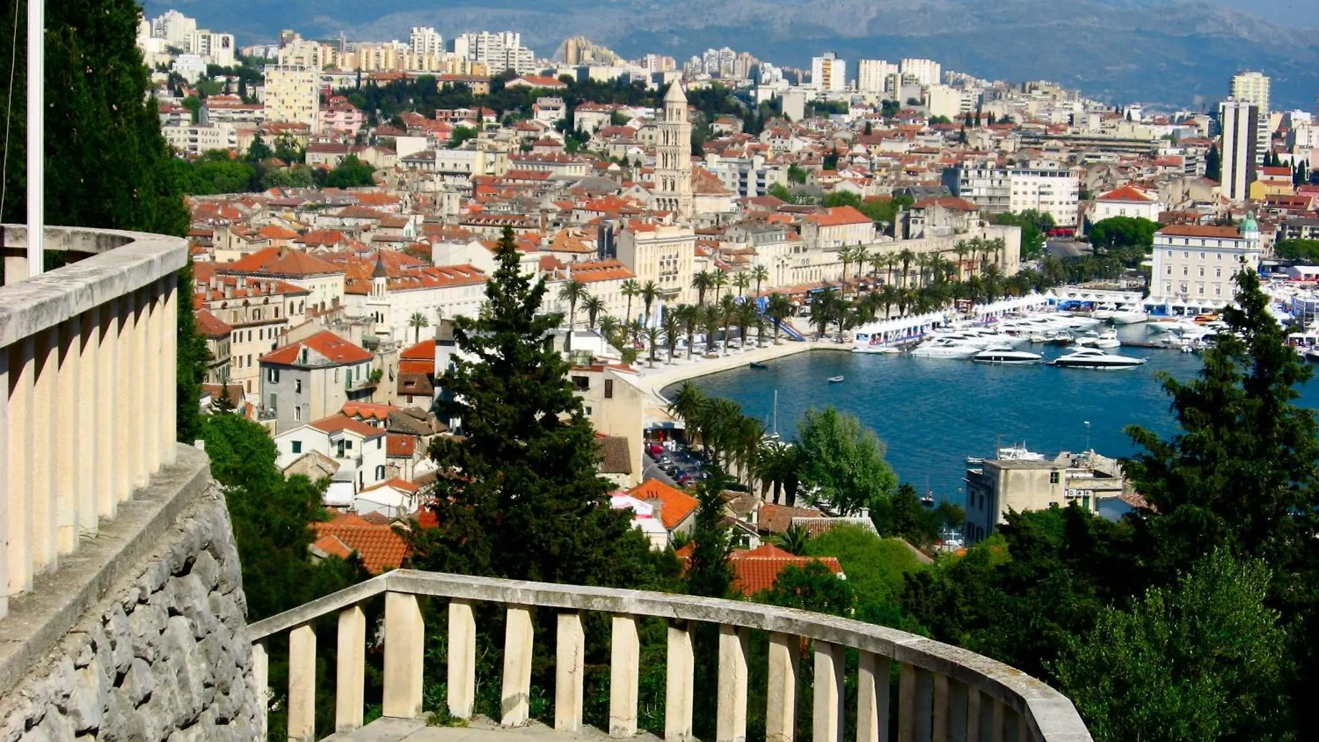 Apartment Zenta With Free Private Parking contacts